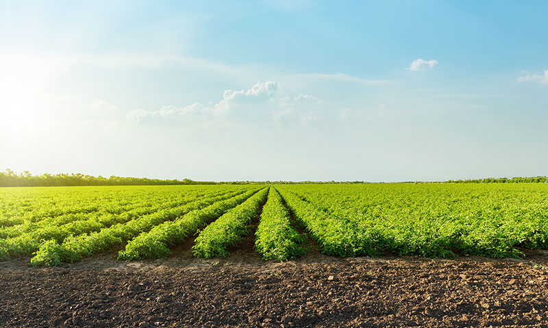 田畑・山岳付近におすすめ